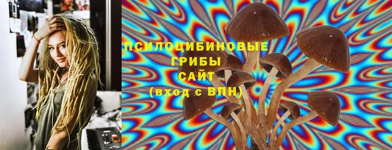 Галлюциногенные грибы Cubensis  где продают наркотики  Бирск 